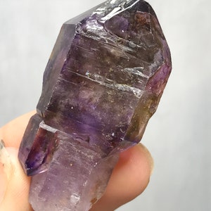 Zambezi Amethyst Sceptor
