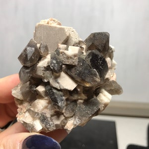 Puede incluir: Un c&uacute;mulo de cristales de cuarzo ahumado con una matriz blanca lechosa. Los cristales son transl&uacute;cidos y tienen un color marr&oacute;n oscuro.