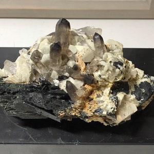 May include: A cluster of smoky quartz crystals on a black matrix. The crystals are clear and have a smoky brown color. The matrix is black and has a rough texture.