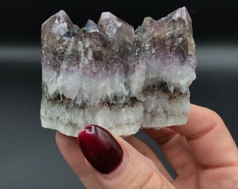 Amisthyst negro