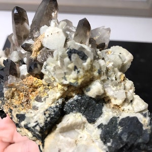 May include: A cluster of smoky quartz crystals on a matrix of black and white minerals. The crystals are clear and have a smoky brown color. The matrix is rough and textured.