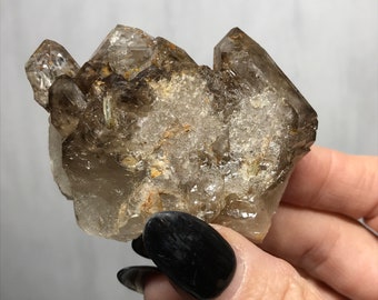May include: A cluster of smoky quartz crystals with a clear, glassy appearance. The crystals are clustered together in a natural formation, with some showing signs of inclusions.