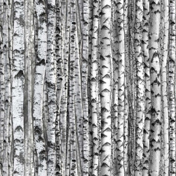 Landscape Medley Birch Tree Forest in Gray by Elizabeth's Studio 44 inches wide 100% Cotton Fabric ES-371-Gray