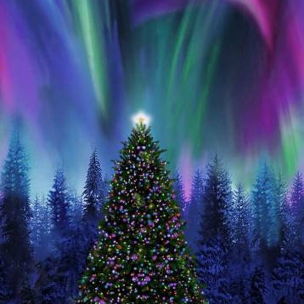 Winter Solstice Christmas Tree Aurora Borealis Panel 24” in Multi by Timeless Treasures 44 inches wide 100% Cotton Fabric TT-CD2010-MULTI