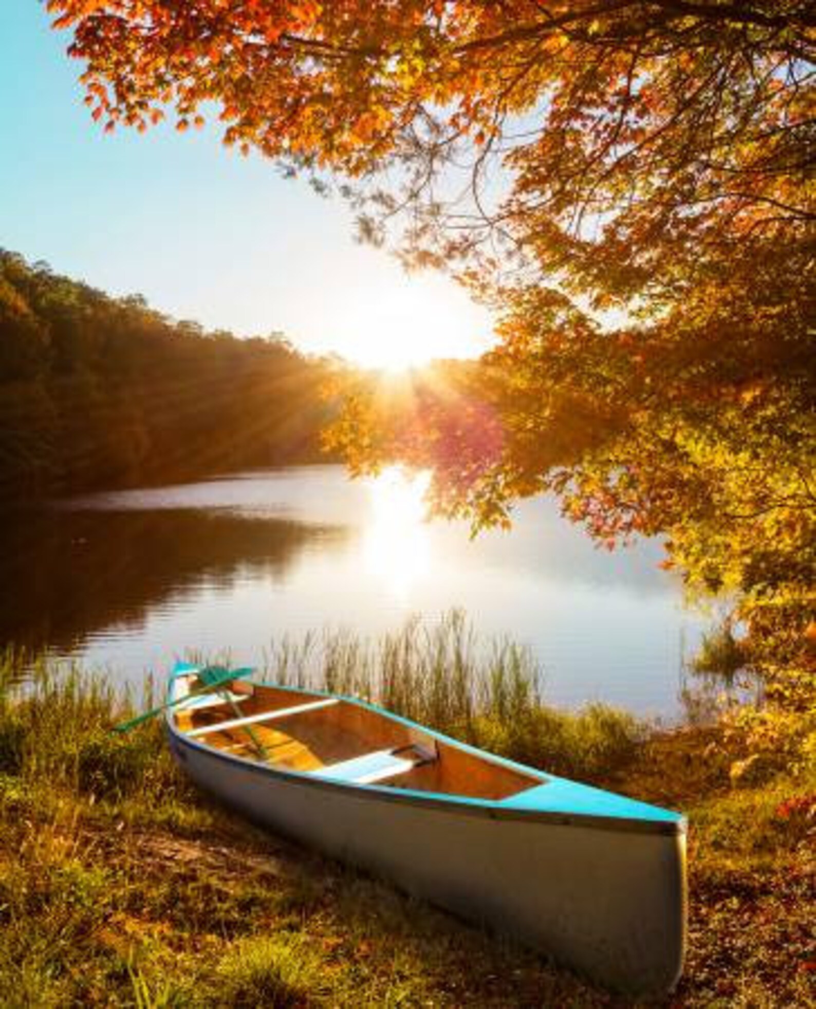 Canoe Panel 36 x 43 inches Digital by David Textiles 100 Etsy