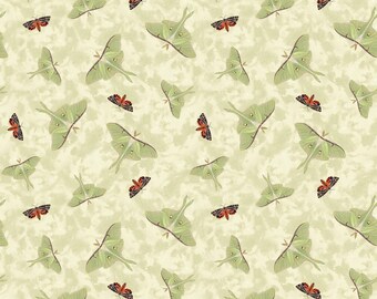 Midnight Rendezvous Moths Tossed in Ivory Cream by Raquel Maciel for Blank Quilting 44 inches wide 100% Cotton Quilting Fabric BQ-2897-41