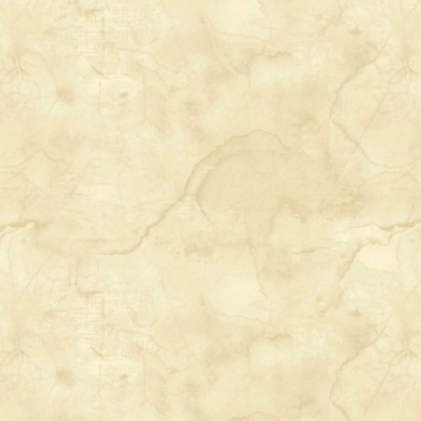 Urban Legend Wash Texture in Ivory by Tana Mueller for Blank Quilting 44 inches wide 100% Cotton Quilting Fabric BQ-7101-41