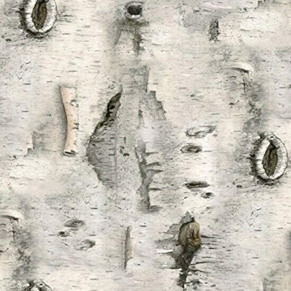 Birch Bark Texture Landscape Medley by Elizabeth's Studio 44 inches wide Cotton Quilting Fabric ES 4324 Gray
