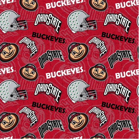 ohio state buckeyes hard hat