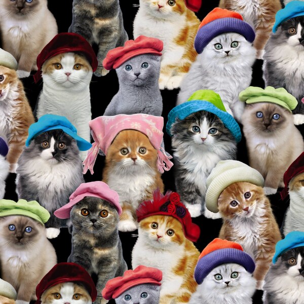 Adorable Pets Kittens in Hats in Black by Elizabeth's Studio 44 inches wide 100% Cotton Quilting Fabric ES-3805-Black