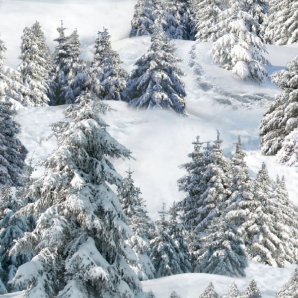 Winter Trees Snow Covered mountain Landscape Medley by Elizabeth's Studio 44 inches wide 100% Cotton Fabric ES-215-White