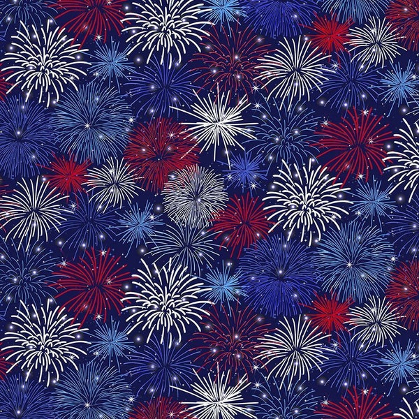 BBQ Season 4th of July Fireworks in Navy by Gail Cadden for Timeless Treasures 44 inches wide 100% Cotton Quilting Fabric TT-GAIL-CD1999