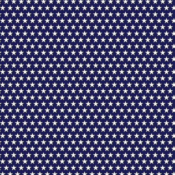 BBQ Season Usa Stars in Navy by Gail Cadden for Timeless Treasures 44 inches wide 100% Cotton Quilting Fabric TT-GAIL-CD2000