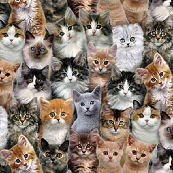 Cats Allover Adorable Multiple Breeds by Elizabeth's Studio 44 inches wide 100% Cotton Fabric ES 3802 Multi