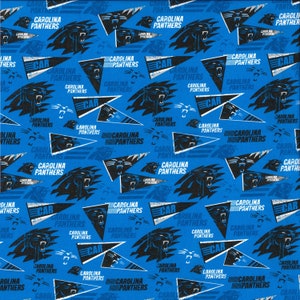 100+] Carolina Panthers Wallpapers