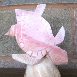 Sea Turtle Hand Carved Sculpture Sea Shell Carved Turtle - Etsy