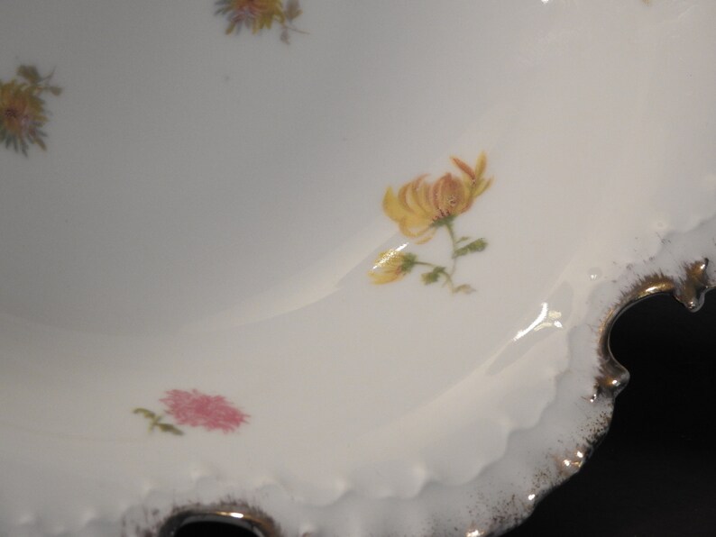 Ornate Rosenthal Monbijou Bavaria Floral Center Bowl With Ornate Double ScallopedRuffled Gold Trim Rim Hand Painted Bavaria Bowl
