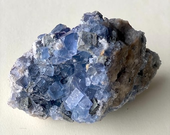 Fluorita azul de Blanchard sobre matriz / Condado de Socorro, Nuevo México / Cristal de colección en bruto / Exhibición para aficionados a la geología / Grande Mediano Pequeño