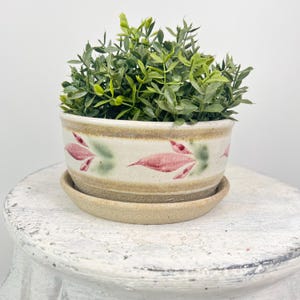 May include: A ceramic planter with a matching saucer, filled with green foliage. The off-white planter features a hand-painted design of red leaves and green accents. The planter is approximately 4 inches in diameter.