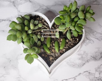 Cute Heart Mini Planter, Love Succulent Plant Decor, Indoor Housewarming Plant Gift, Charming Plant Desk Decor, Pot with Drain & Saucer