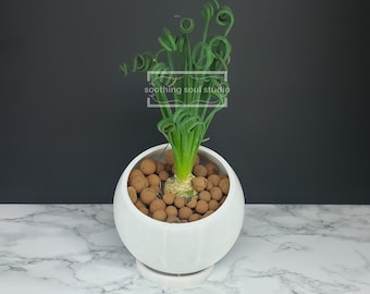 Sphere Geometric Planter Pot, Succulent Houseplant Pot, Indoor Housewarming Plant Gift, Modern Desk Decor, Flowerpot with Drainage Tray