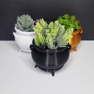 May include: Three cauldron-shaped planters, one white, one gold, and one black, each holding a different type of succulent plant.