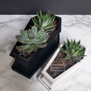 May include: Two small succulent plants in coffin-shaped planters. One planter is black and the other is white. Both planters are made of ceramic.