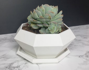 Custom Color Geometric Planter, Modern Succulent Pot, Indoor Flowerpot Gift, Cute Desk Decor, Pot with Drain & Tray, Octagon Cactus Pot