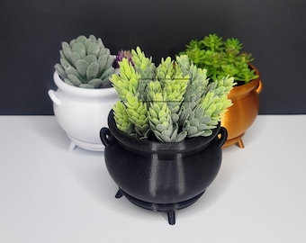 May include: Three cauldron-shaped planters, one white, one gold, and one black, each holding a different type of succulent plant.