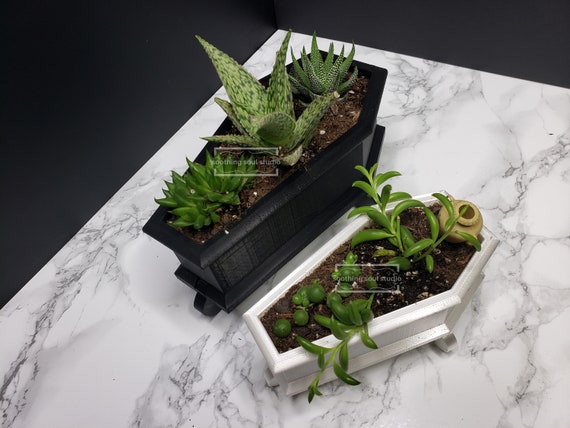 Indoor succulent planter online