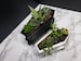 Coffin Mini Planter & Stand, Goth Succulent Planter Decor, Indoor Housewarming Plant Gift, Cute Desk Decor, Spooky Plant Pot with Drain 