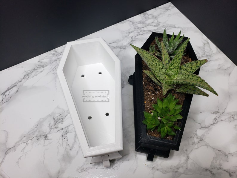 coffin succulent holder