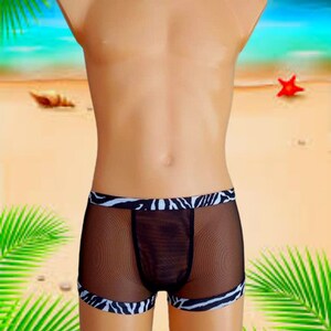 Ropa interior transparente hombre hotsell