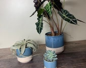 Bailey Ceramic Pots