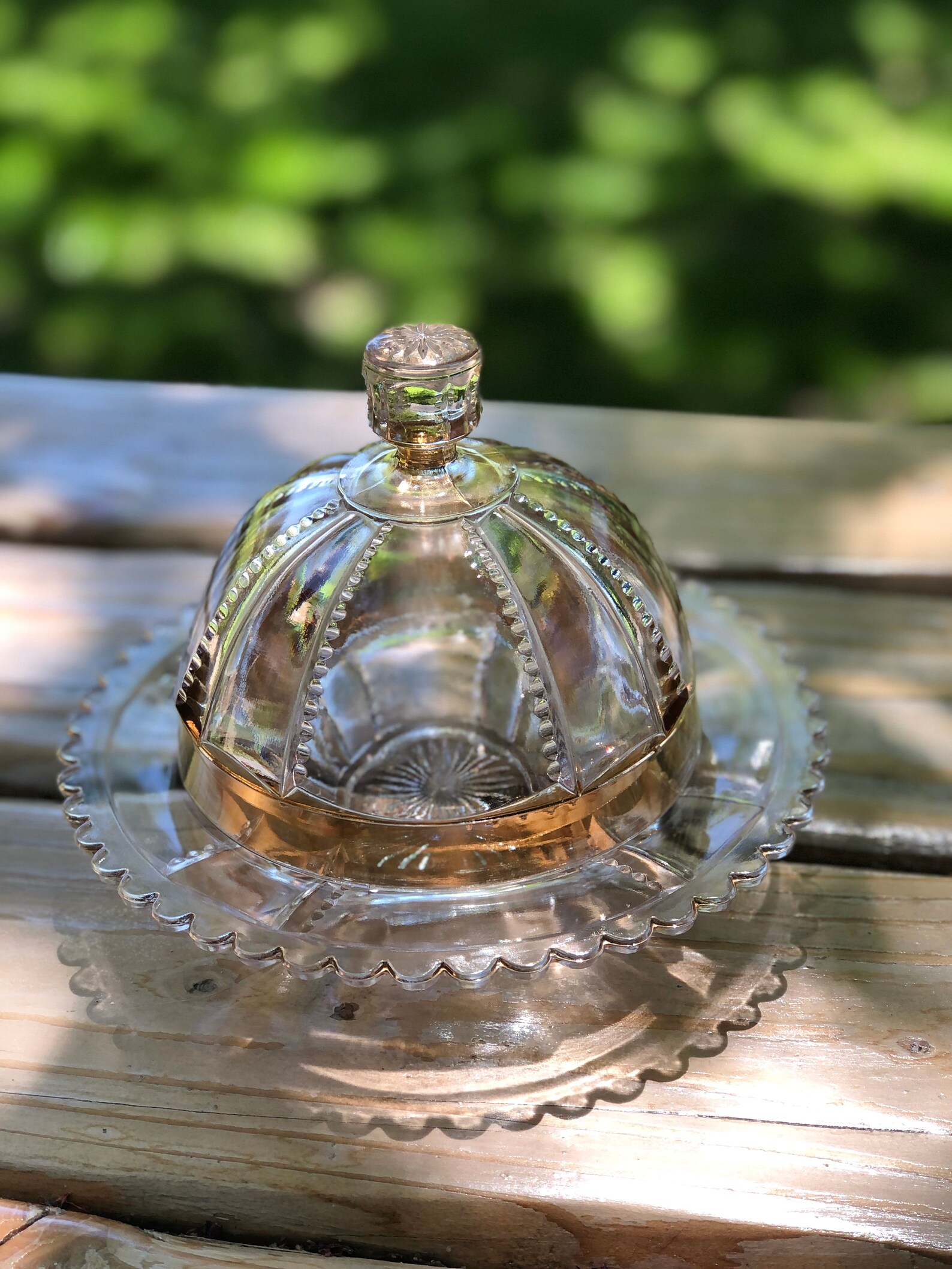 Antique EAPG Glass Dome Lid Gold Band Butter /Cheese Dish Etsy