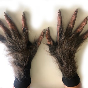 Costume Lupo Grigio Per Halloween - Kit Maschera E Artigli, Adulti Taglia Unica