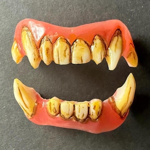 May include: A set of upper and lower prosthetic teeth featuring a pink gum base and yellowed, stained teeth with pointed fangs. The teeth have dark brown detailing around the edges and crevices, creating a weathered and aged appearance for the set.