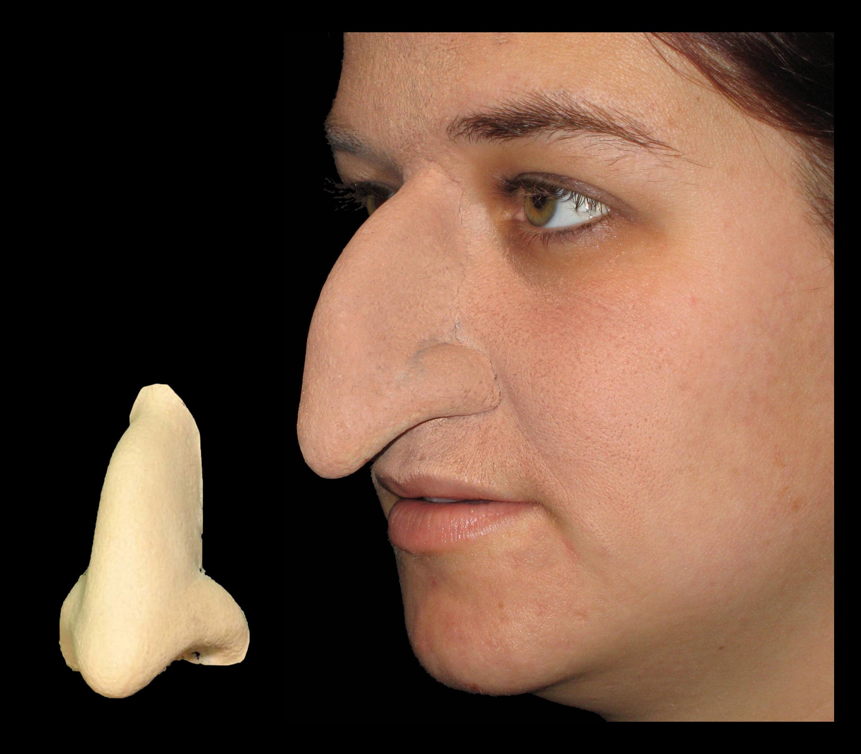 Wicked Witch Nose Foam Latex Prosthetic Adult Costume Accessory 