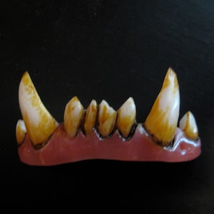 Troll Teeth Tusks FX Dental Distortions Costume Cosplay Fangs