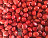 Seeds village Adenanthera Pavonina or Coral Wood Tree Acacia Manchadi Red Lucky Seeds Circassian bean