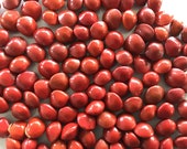 Seeds village Adenanthera Pavonina Coral Wood Tree Acacia Manchadi Red Lucky Seeds Circassian Bean for Sowing Growing, 500 g