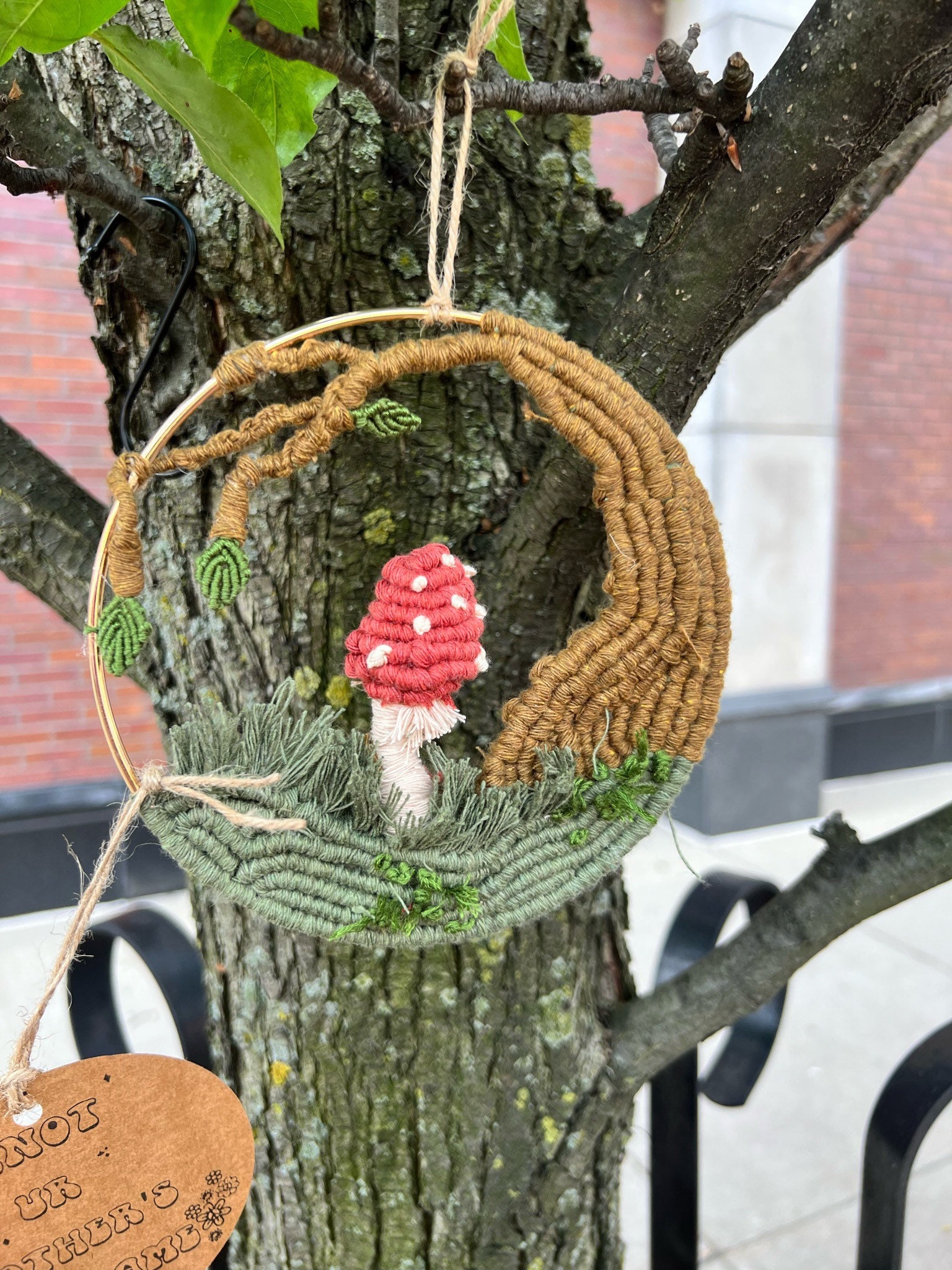 Macrame Mushroom "Fun-Guy" Landscape