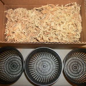 Three 5 Inch Net Pots with New Zealand Sphagnum Moss
