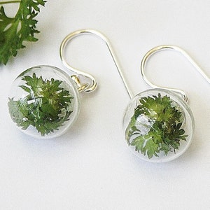 Petersilienhochzeit Geschenk, Ohrringe aus echter Petersilie, Glas und Silber 925, gold oder rosé,individuelle Anfertigung nach Wunsch