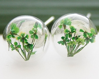 Genuine dill blossoms & flower stud earrings 925 green silver glass floral flower jewelry boho wedding Bridal Jewelry Bridal Gift