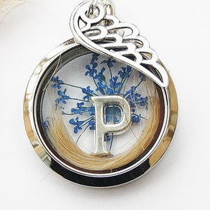 JazRvr 6-teiliges Tierhaar Medaillon Set - Schlüsselanhänger Für Katzenhaar Aufbewahrung