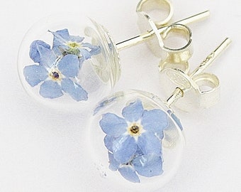 Real forget-me-not stud earrings 925 silver blue bridal jewelry bridal flower jewelry boho boho style flower stud earrings confirmation baptism