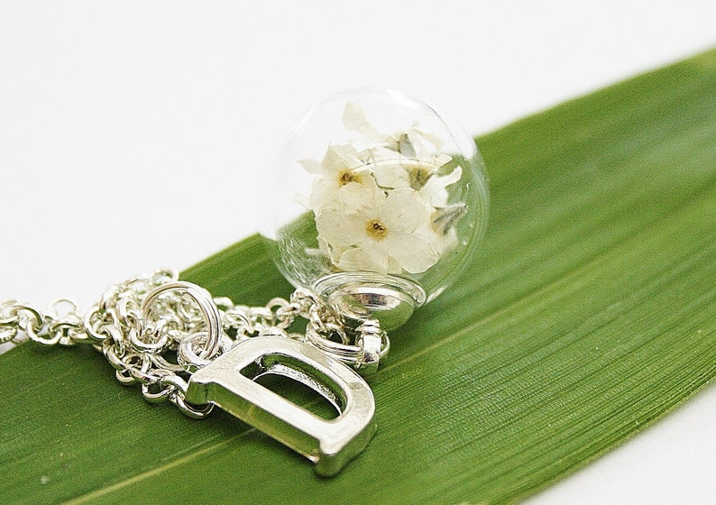 Echte Vergissmeinnicht Kette Anhänger Hochzeit Braut Brautschmuck weiß silber Blütenschmuck Trauzeugin Brautjungfer Blumen Geschenk Abschied Bild 2