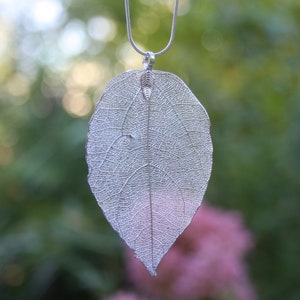 Genuine Bay Leaf Leaf Chain Pendant Chain Silver Leaves Natural Jewelry Jewelry Leaf Pendant Autumn Foliage Forest Natural Leaf