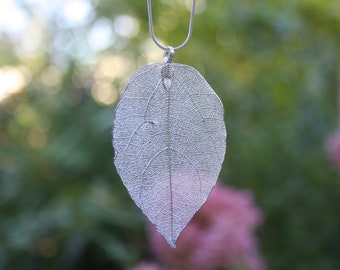 Echte Laurier blad ketting ketting zilveren bladeren natuurlijke sieraden sieraden blad hanger herfst gebladerte bos natuurlijk blad